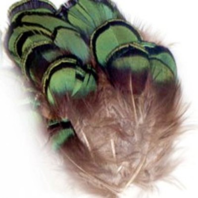 green-feathers