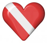 DiveheartLogo